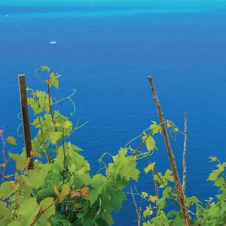 Cozy In With House Sea View Daire *